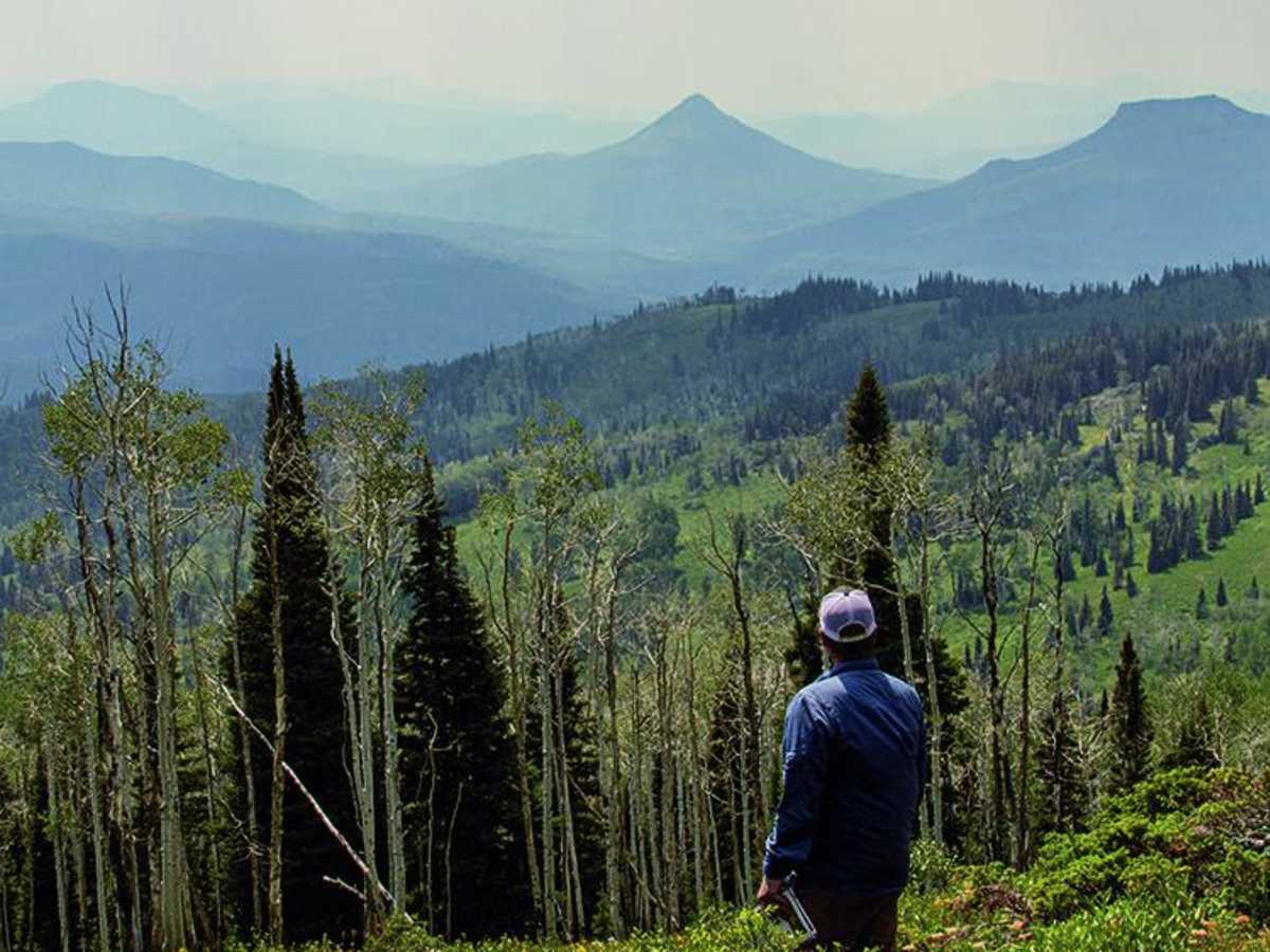 Elkhorn Mountain photo 6
