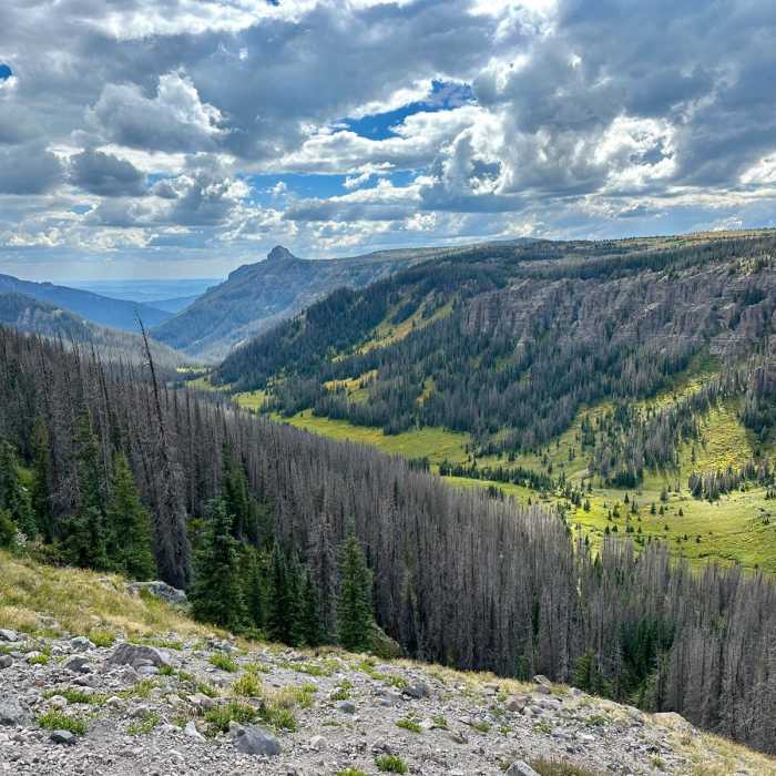 Near Continental Divide Trail: Colorado Section 1