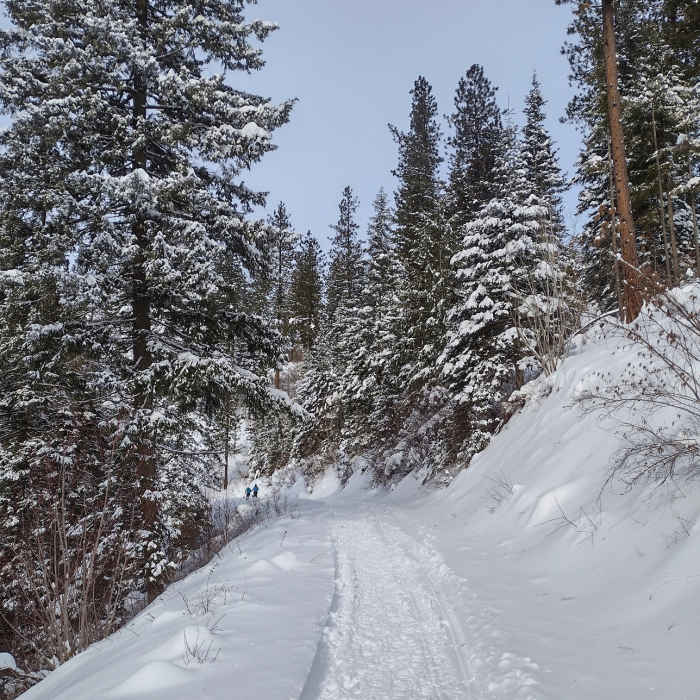 Near Timber Ridge Lane