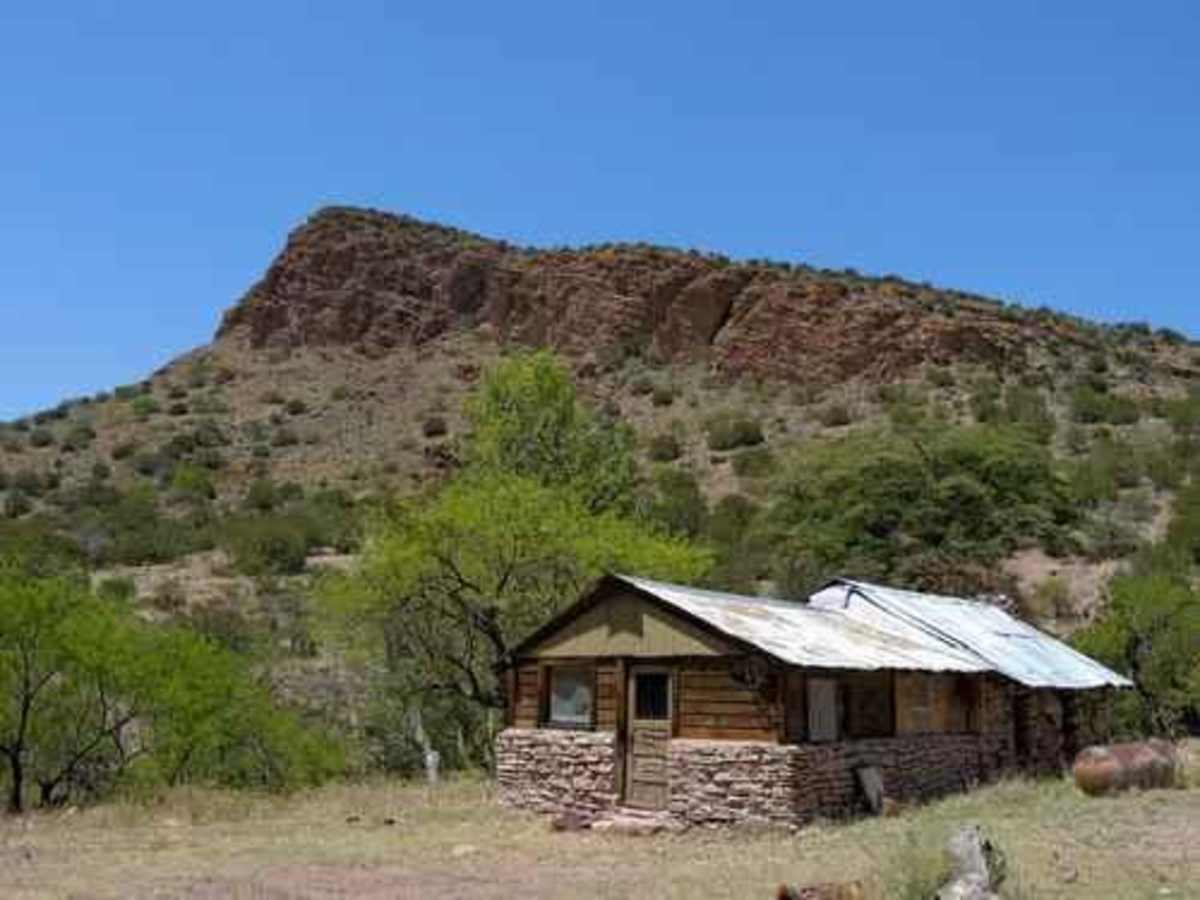 Jackson Cabin trail photo