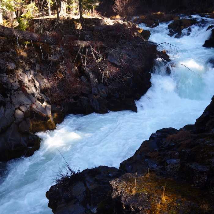 Near Rogue Gorge Trail #1034A