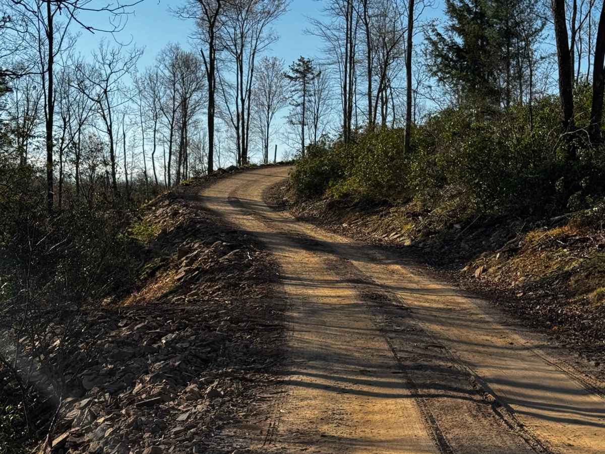 Bailer Run Trail photo 4