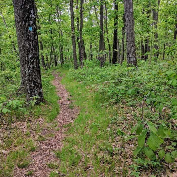 Some enjoyable singletrack can be found on the Highlands Trail in Mahlon Dickerson Reservation. Near The Highlands Trail - NJ Section