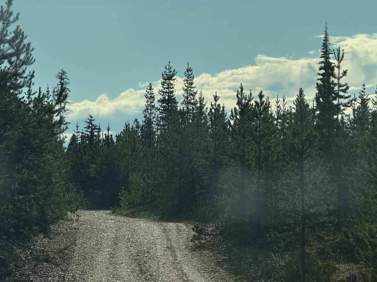 Crystal Lake Trail photo 2