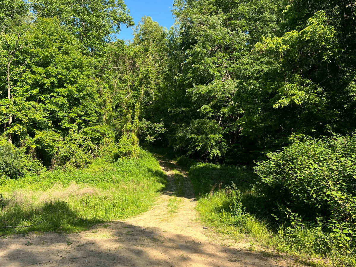 KC29 trail photo