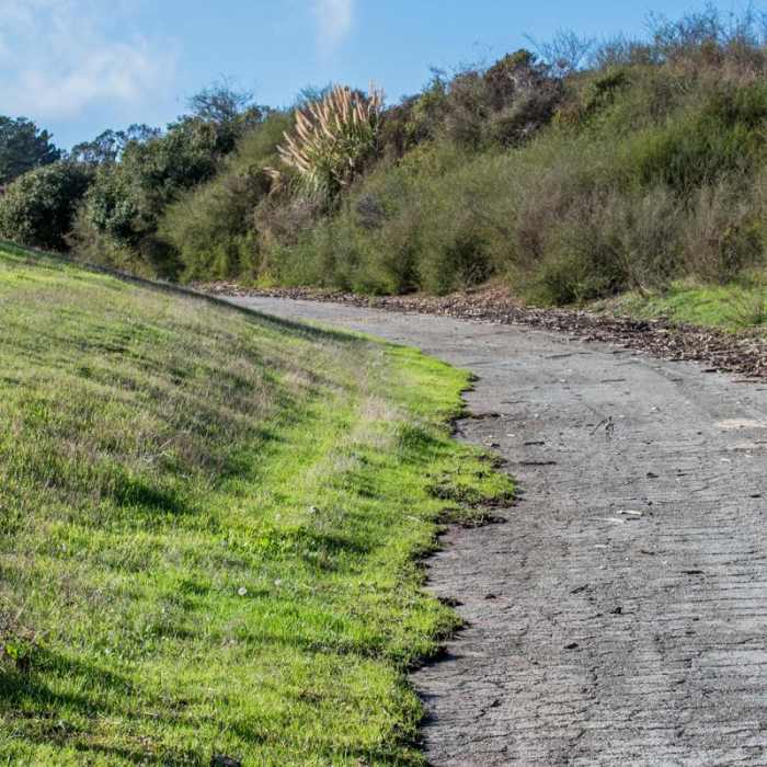 Near Moore Creek Preserve Hiking Trails