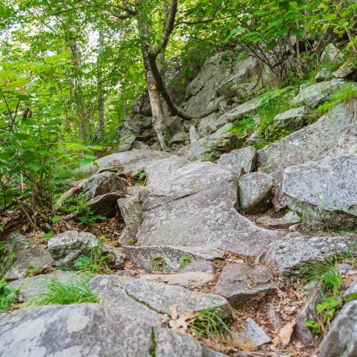 Near Pack Monadnock Loop Near Pack Monadnock Loop