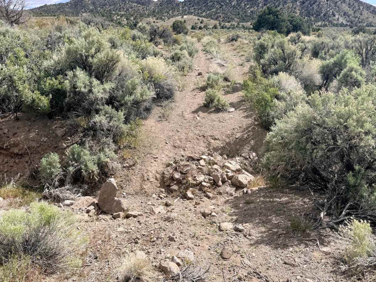  Four Mile Spring- FS 44018B photo 2