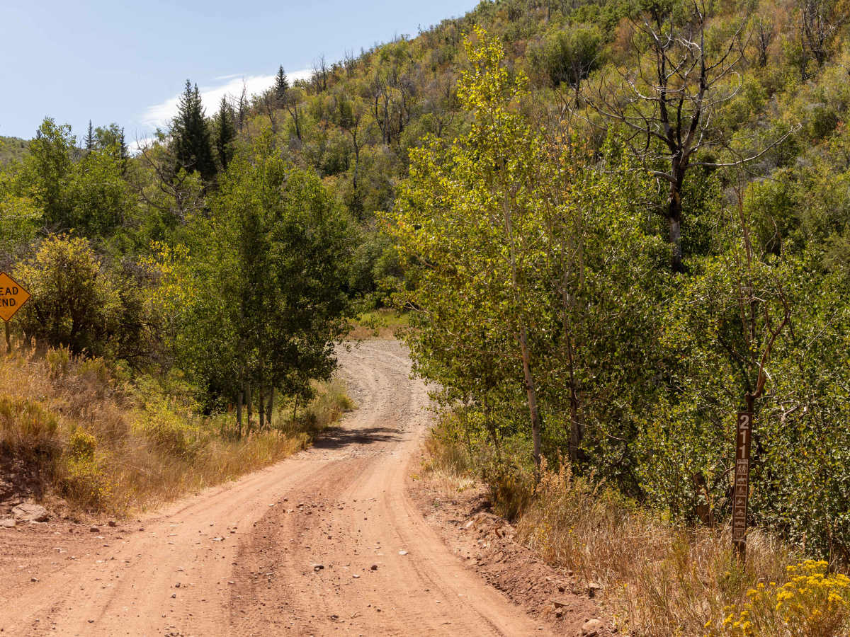 Hay Flat trail photo