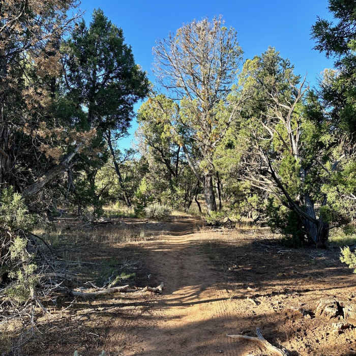 Near Buttermilk Loop