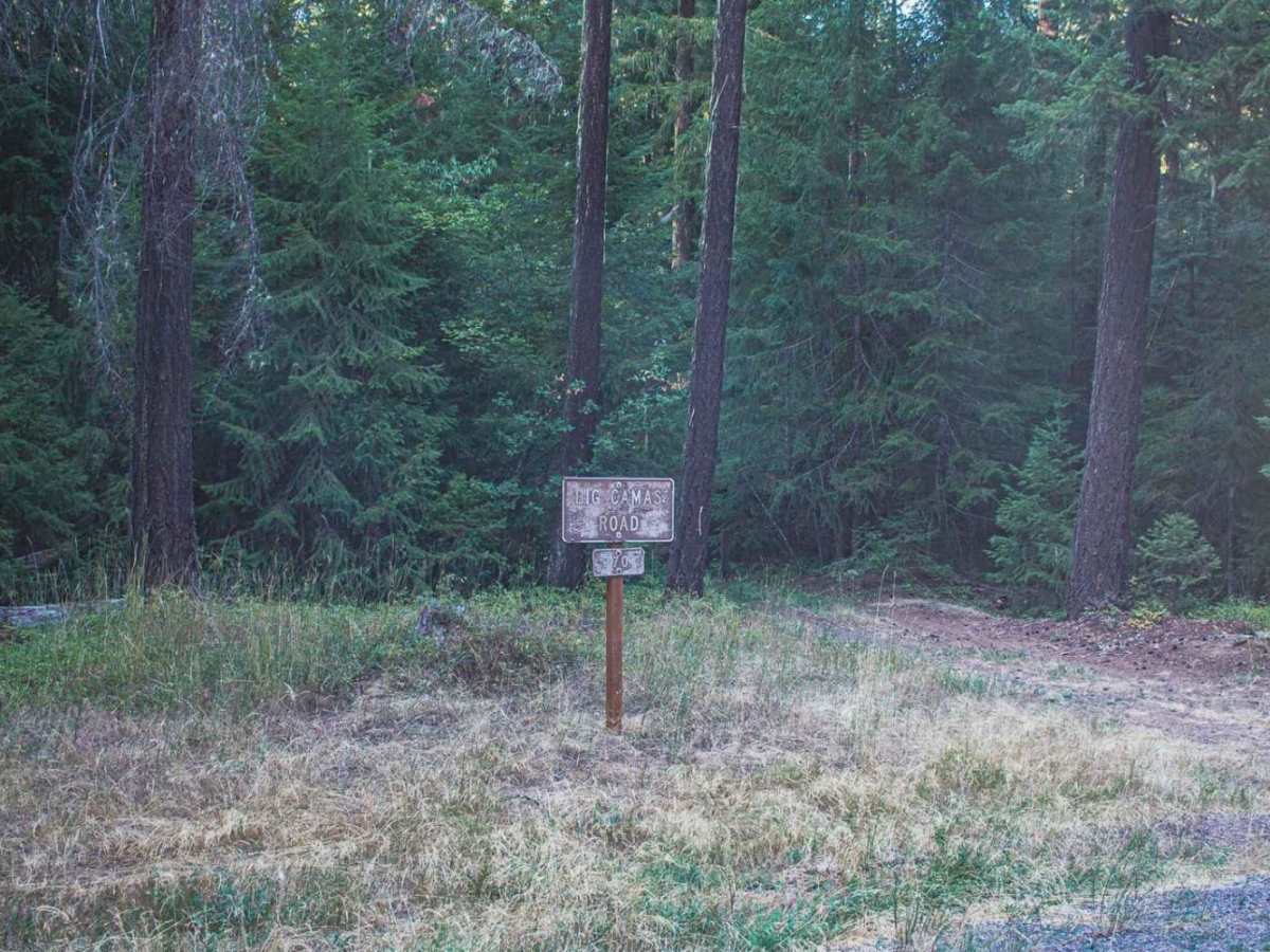 Big Camas photo 3