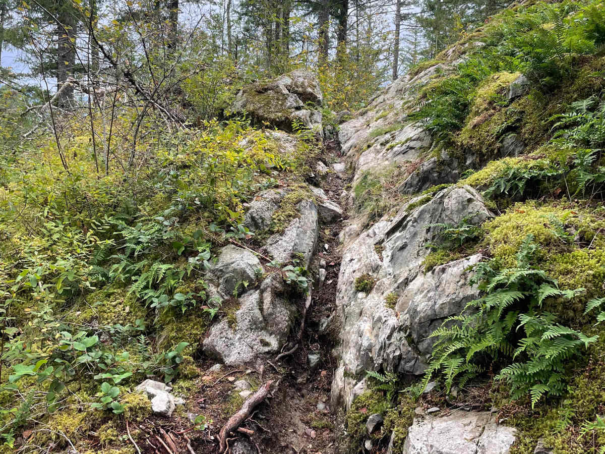 Sprocket Eater trail photo