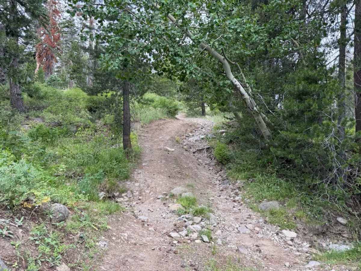 Lower Charity Spur A - FS 31206A photo 3