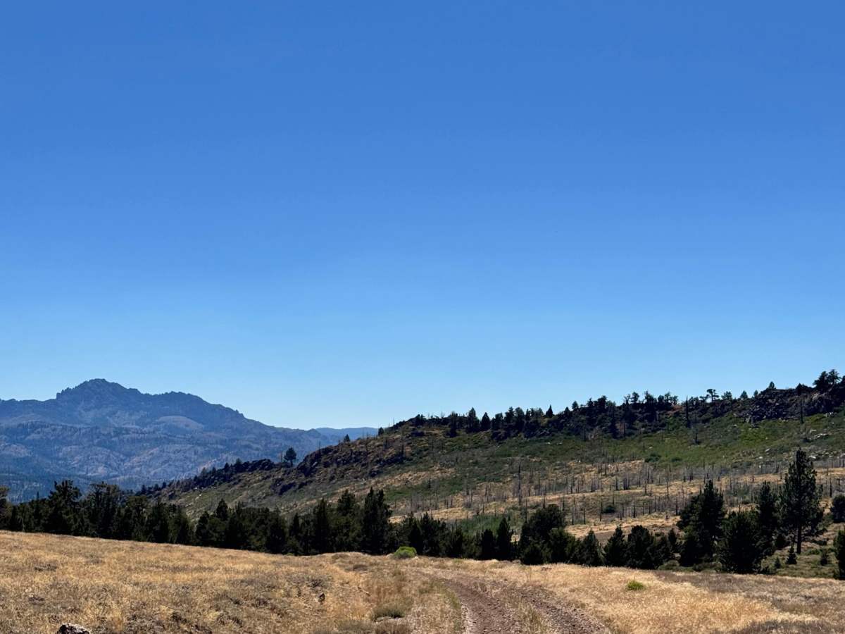 Loope Canyon Road - FS 31190 photo 5