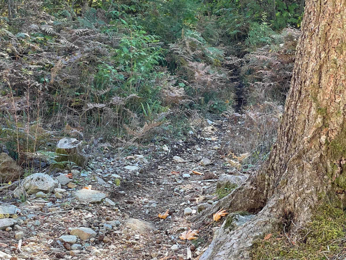 Tricycle - Hydro Hill Connector photo 4