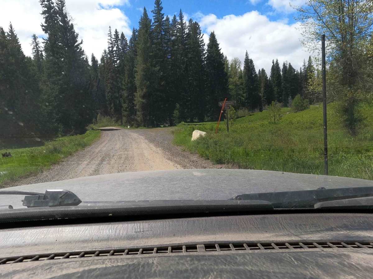 Manastash Road - NF3100 photo 6