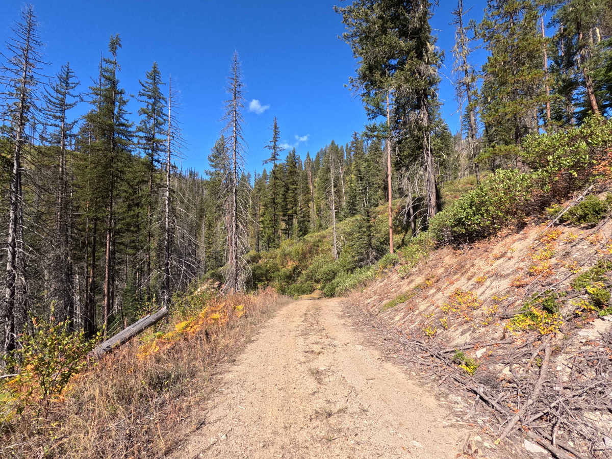 Klahowya Creek N - FS 1075N photo 4