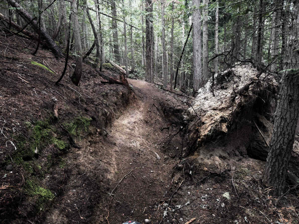 307 trail photo