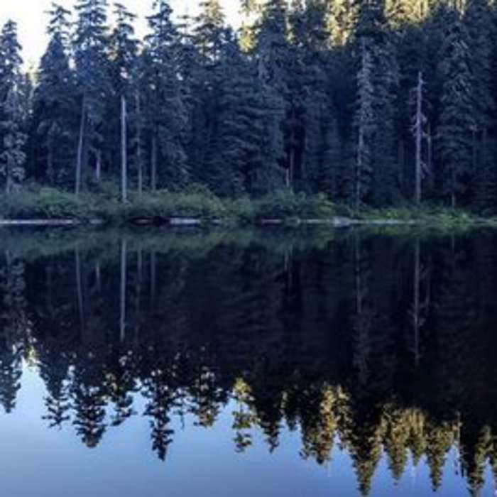 A short, half-mile hike in leads you to the shoreline of Plaza Lake. Photo by Cameron Brown. Near Plaza Lake Trail #788
