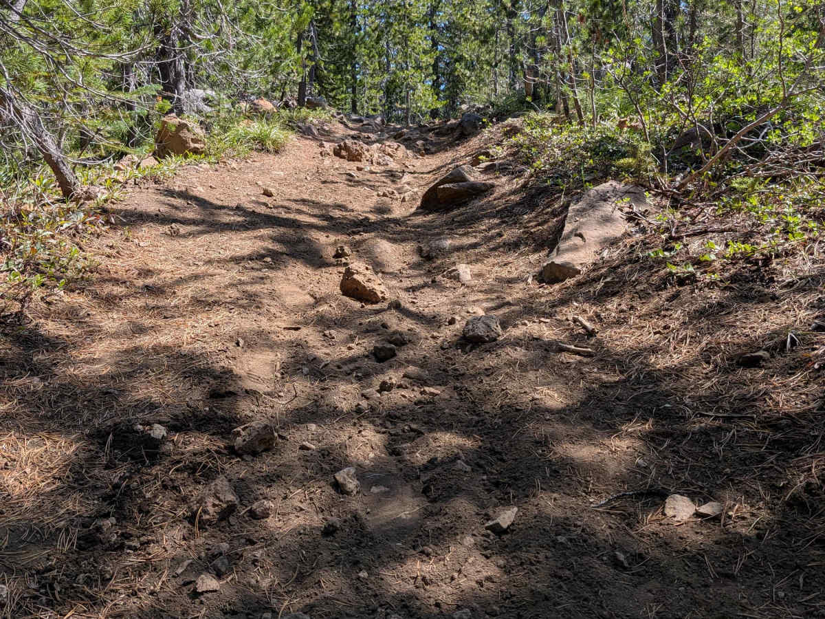 Santiam OHV 18 photo 6