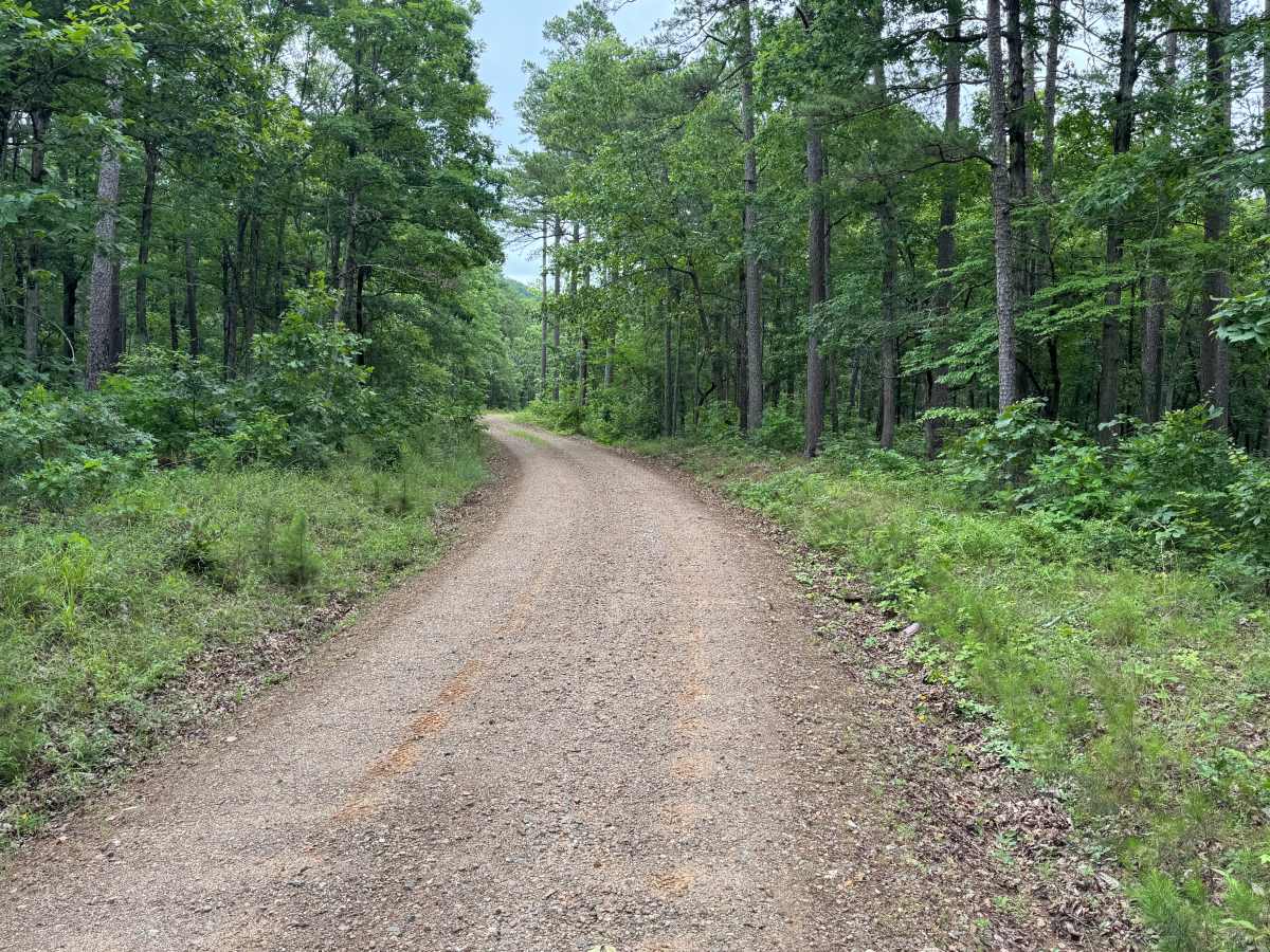 Crystal trail photo