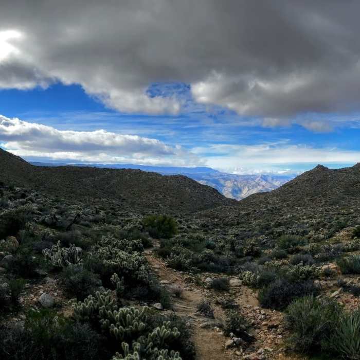 Near Mortero Palms to Goat Canyon Trestle Trail