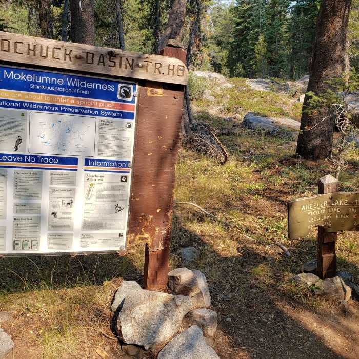 Near Wheeler Lake Trail