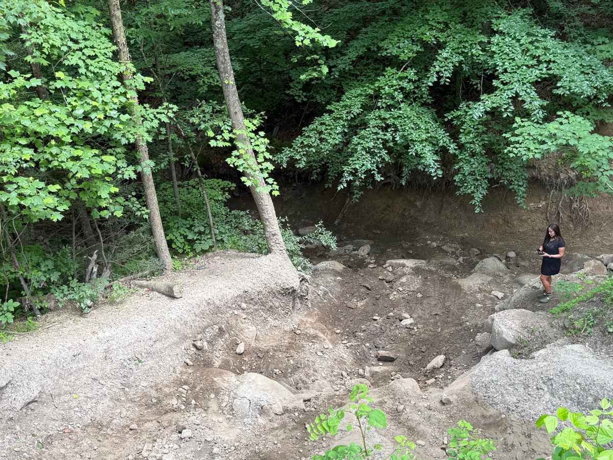 Rail Bed photo 5