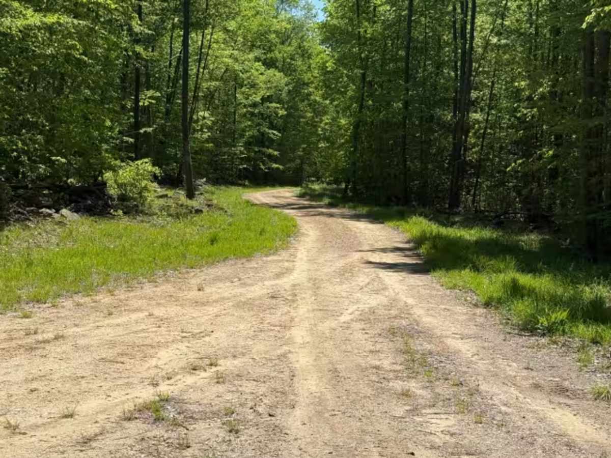 McDade Run - FS 463 trail photo