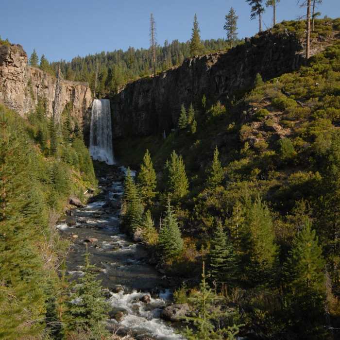 Near North Fork to Bridge Creek Loop