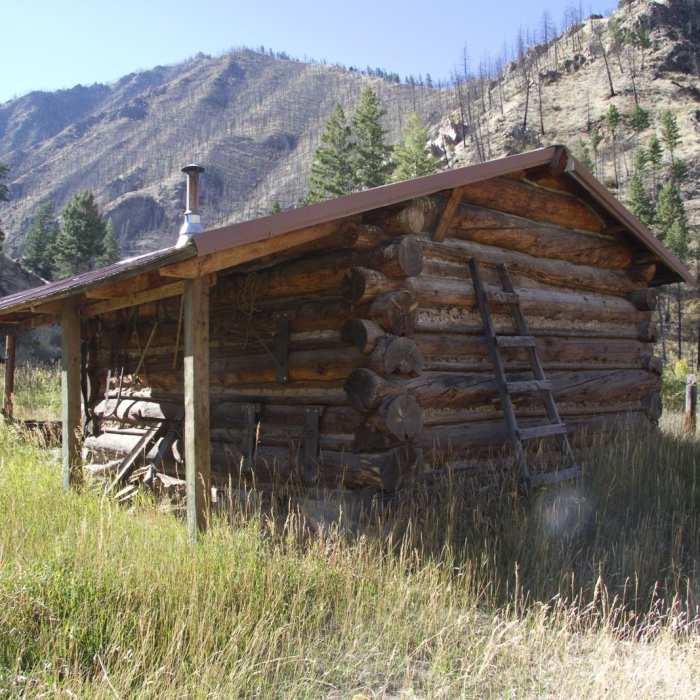Near Middle Fork of the Salmon River Trail a Day 4