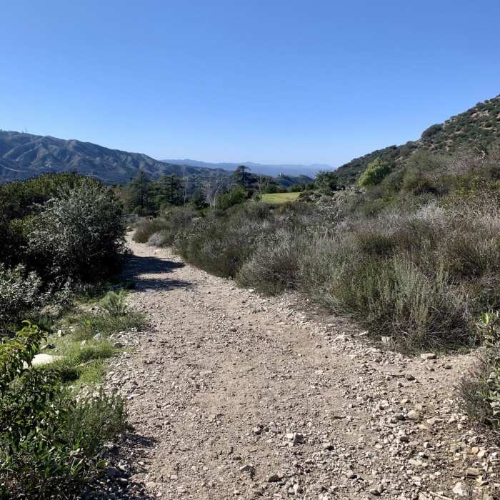 Near Dunsmore Canyon / Le Mesnager Loop