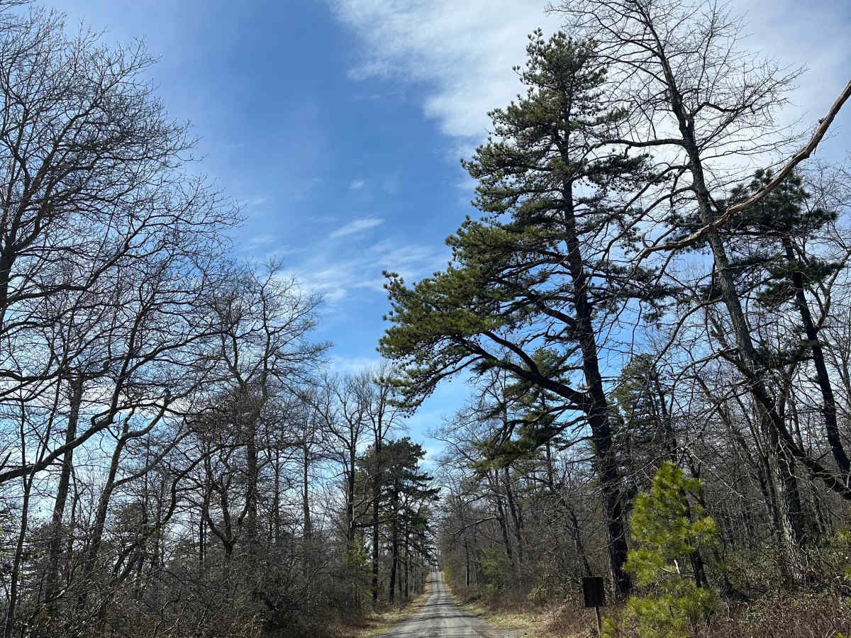 Thompson Hollow Road  trail photo