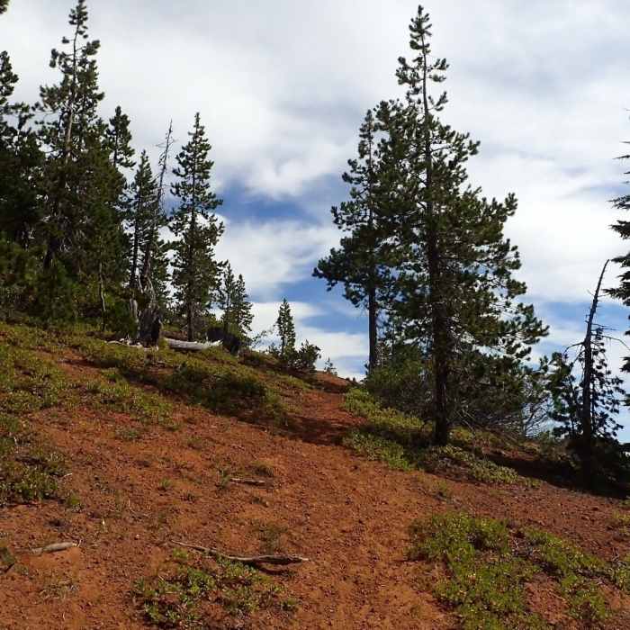 Near Tenas Peak Loop