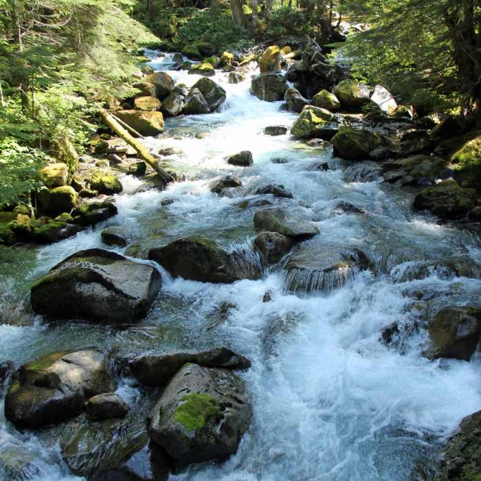 Crossing Brush Creek can be an adventure. Near Hannegan Pass Trail