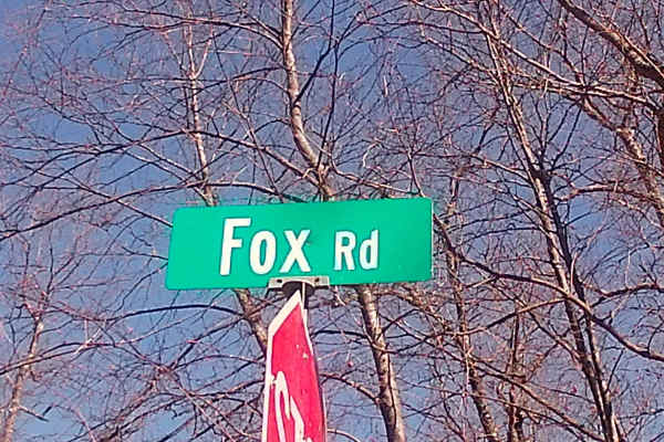 Fox Road