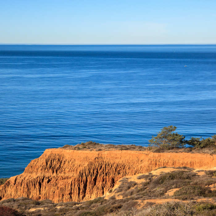 Near Torrey Pines State Reserve Loop