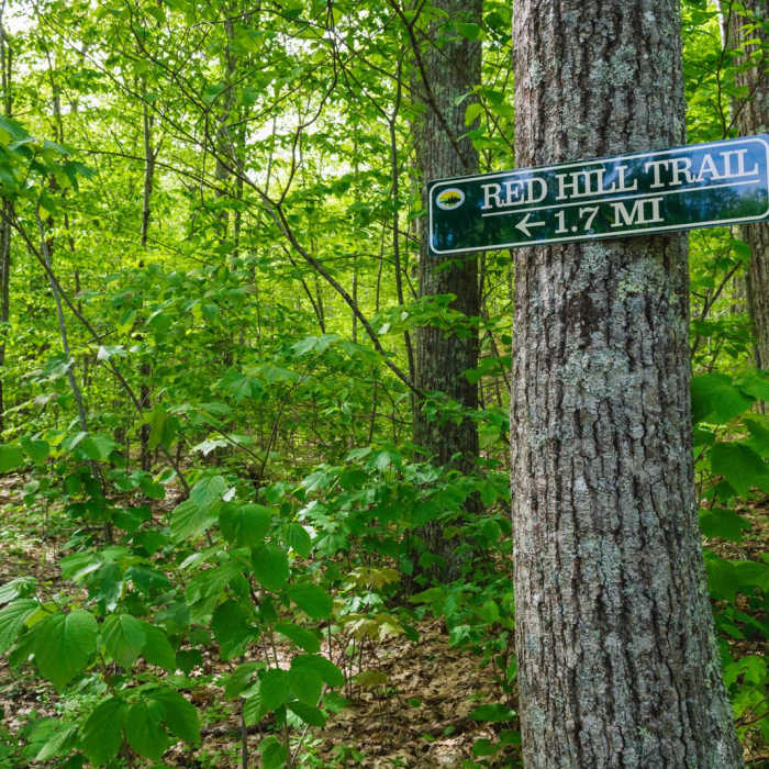Near Red Hill Fire Tower via Red Hill + Cabin Trails