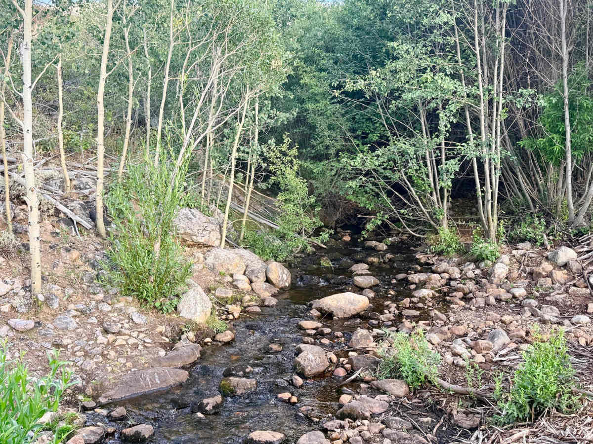  Jack Creek North Fork - FS 56473 photo 2