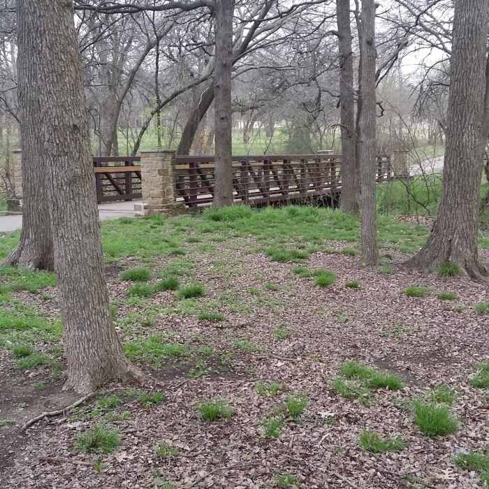 A local footbridge provides a great location for a few photos. Near Connemara Meadow Nature Preserve