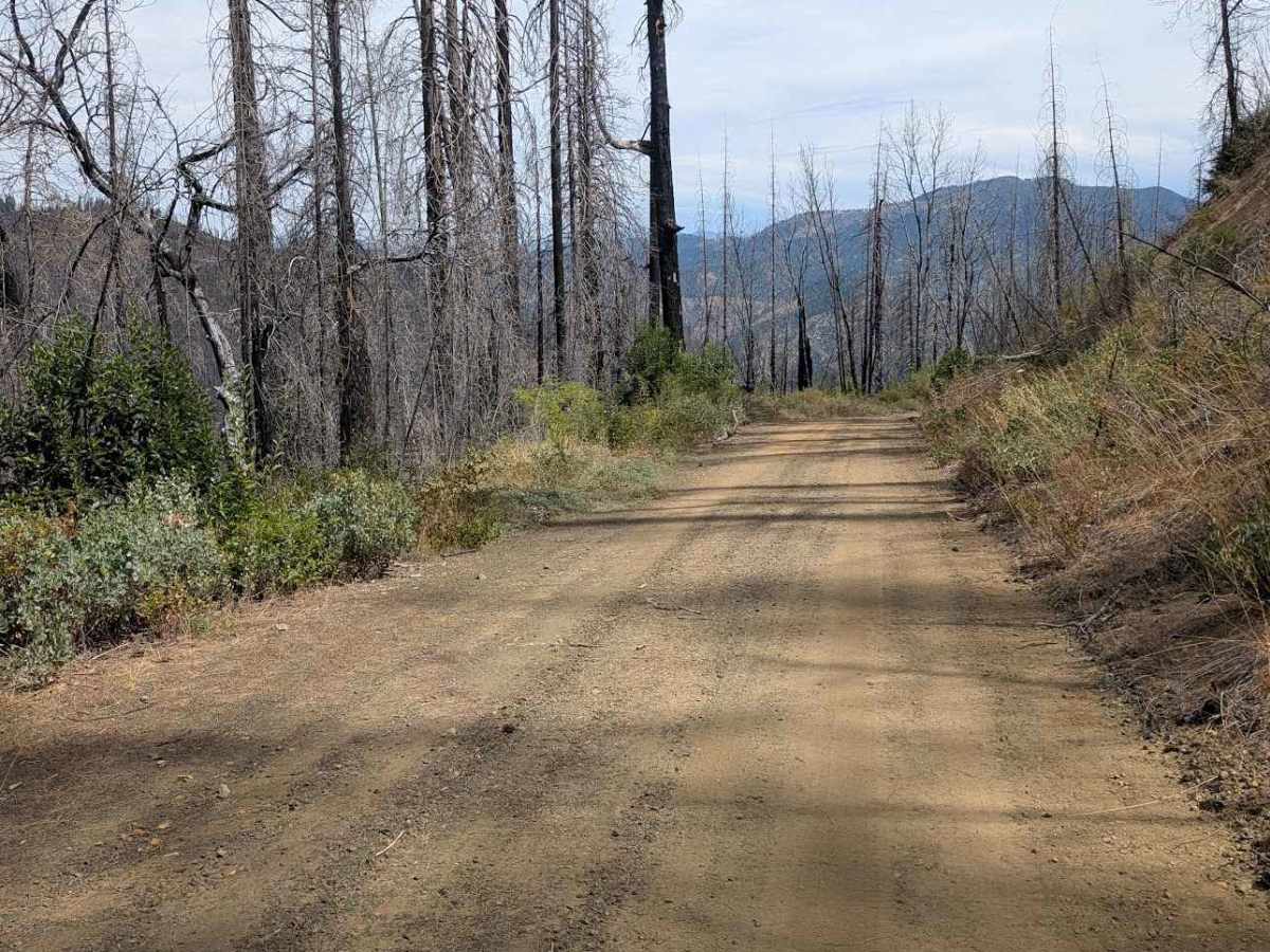 Jud Creek Road - FS 3N07  photo 2