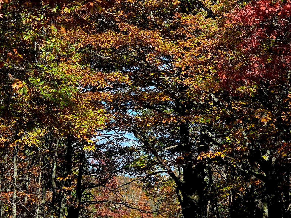 Lanager Run Connector photo 5