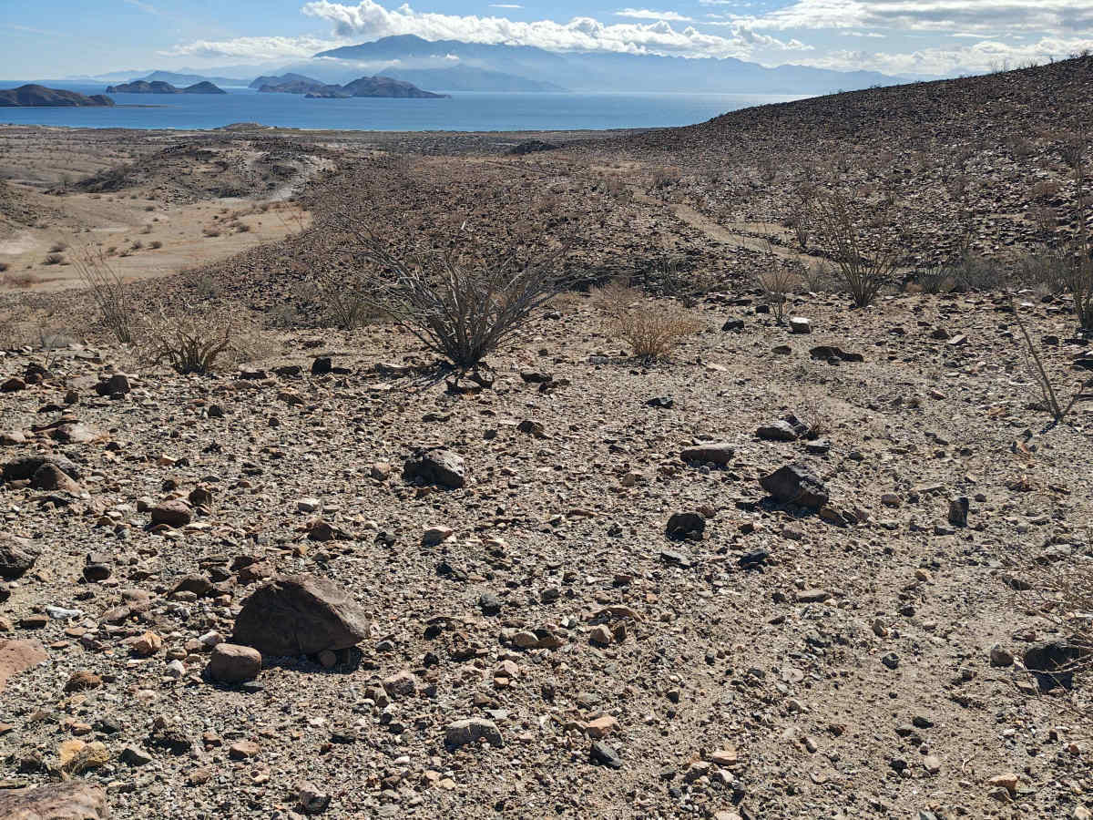 La Gringa Fun Loop - Single Track photo 4