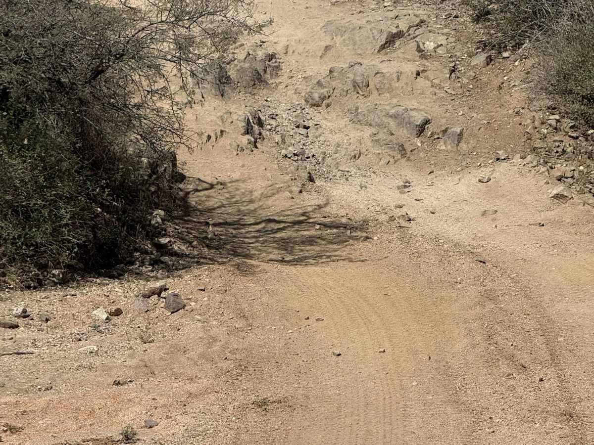 Old Stage Road photo 6