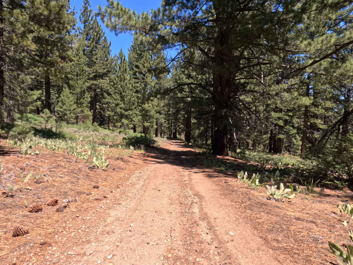Horseshoe Road - FS 31079B photo 5