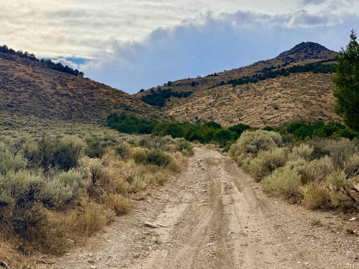  Road Canyon - FS 57111 trail photo