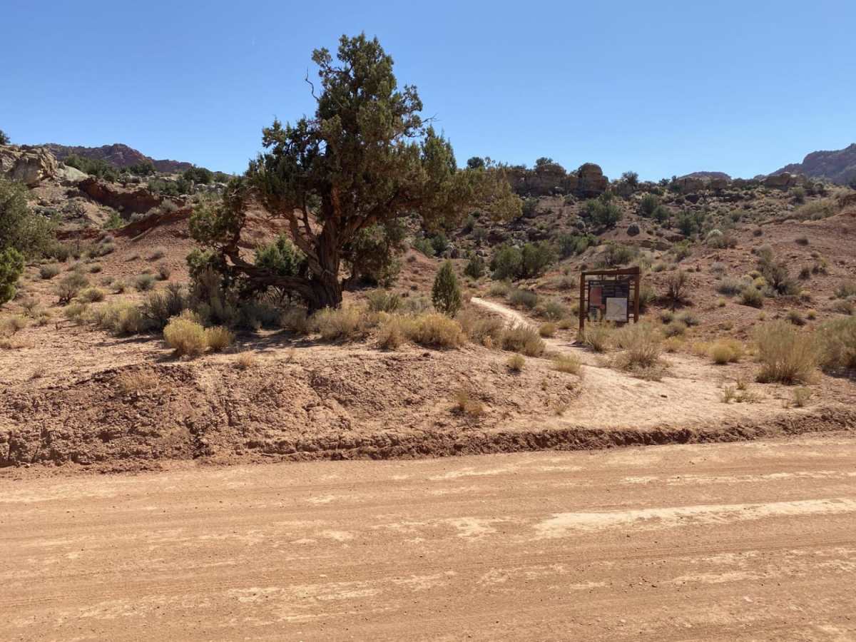 House Rock Road photo 6