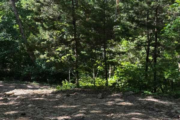Inner Trail 11
