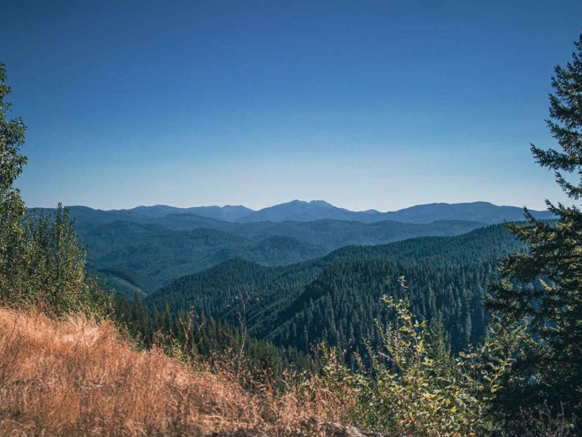 June Mountain trail photo