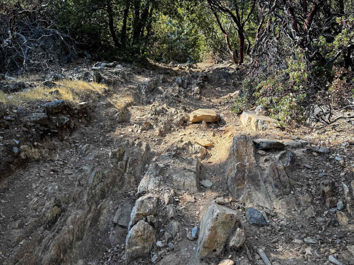Trail 5-3 (11E54)  trail photo
